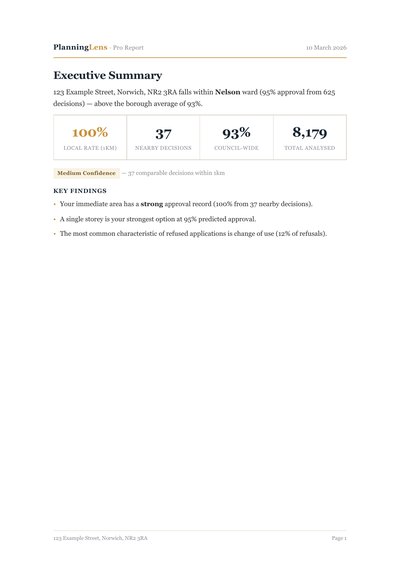 Sample Full Planning Analysis — Executive Summary